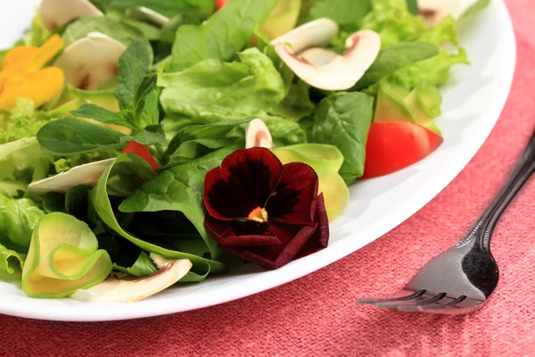 Salata çiçekler — Stok fotoğraf