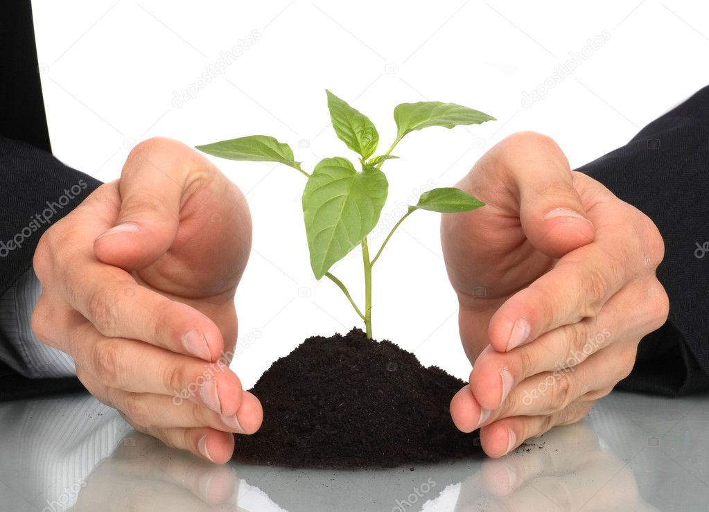 Business men a plant between hands