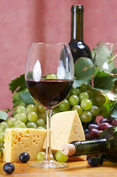 와인과 치즈 정 — 스톡 사진