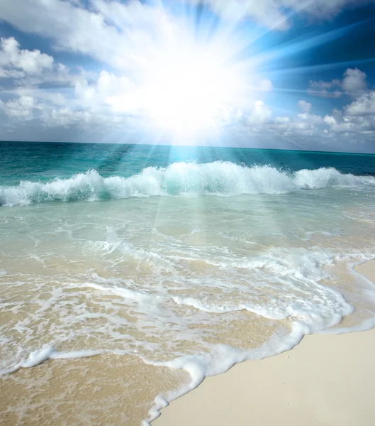 stock image The beach and star