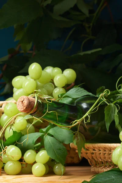 Copa de vino con botella para degustación de vinos —  Fotos de Stock