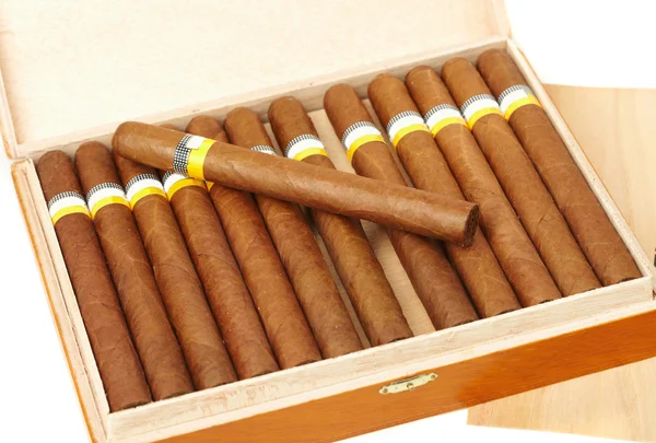 Schachtel kubanischer Zigarren — Stockfoto