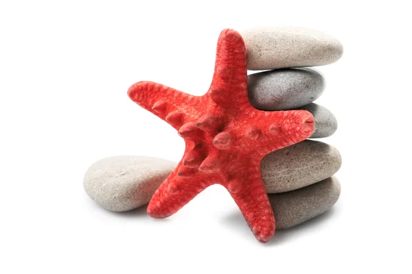 Starfish and pebble — Stock Photo, Image