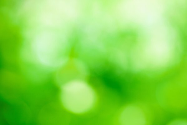 Зеленый фон
