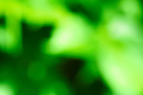 stock image Green background