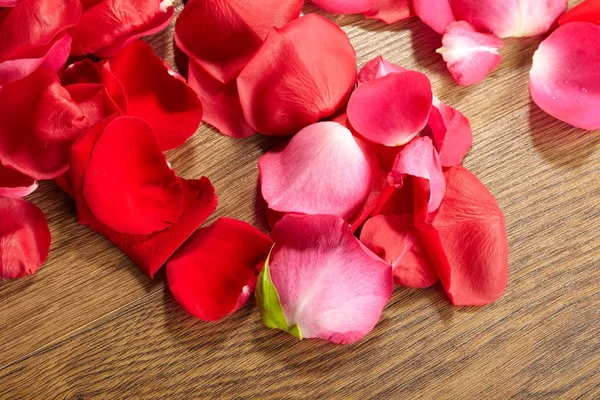 Petali di una rosa — Foto Stock