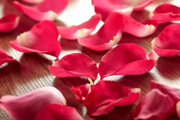Petali di una rosa — Foto Stock