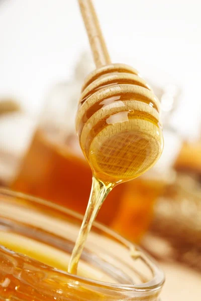 Honey with wood stick — Stock Photo, Image