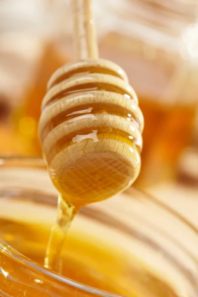 stock image Honey with wood stick