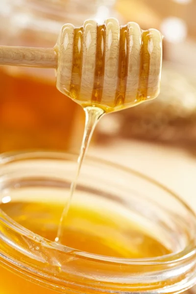 stock image Honey with wood stick