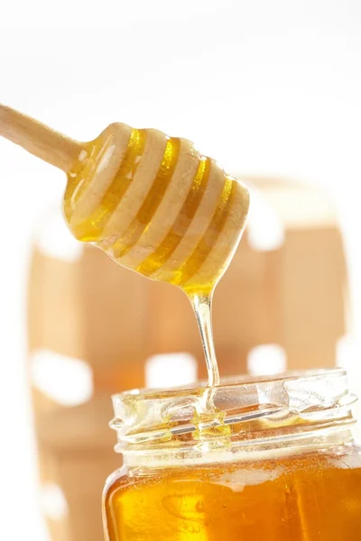 stock image Honey with wood stick