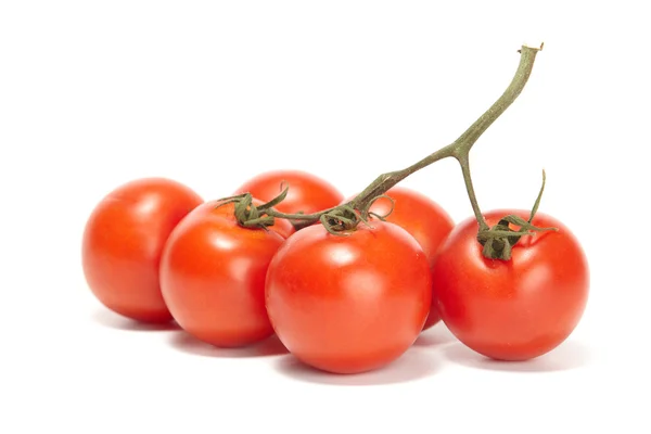 Świeże pomidory — Zdjęcie stockowe