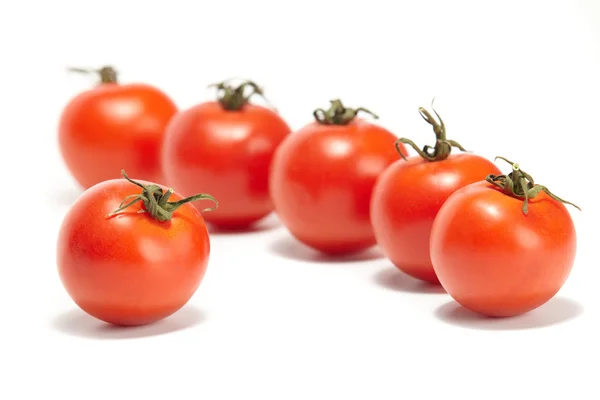 新鮮なトマト ストック写真