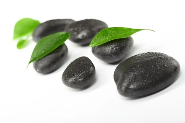 Zwarte stenen en groene bladeren — Stockfoto