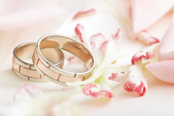 Złote pierścienie i płatki róży — Zdjęcie stockowe