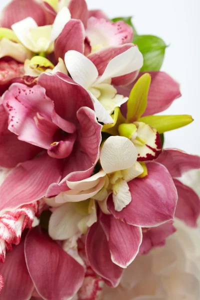 Орхідеї букет — стокове фото