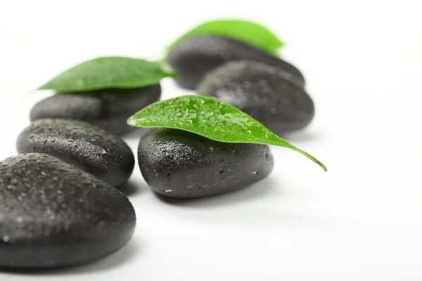 Piedras negras y hojas verdes —  Fotos de Stock