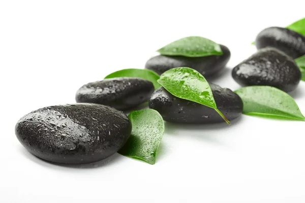 Siyah taşlar ve yeşil yaprak — Stok fotoğraf