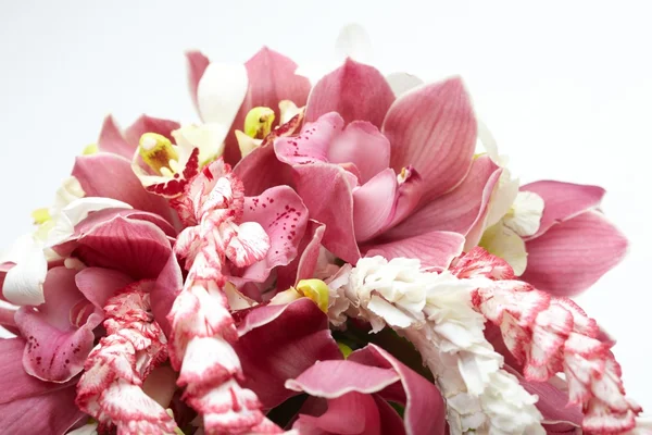 Bouquet d'orchidées — Photo