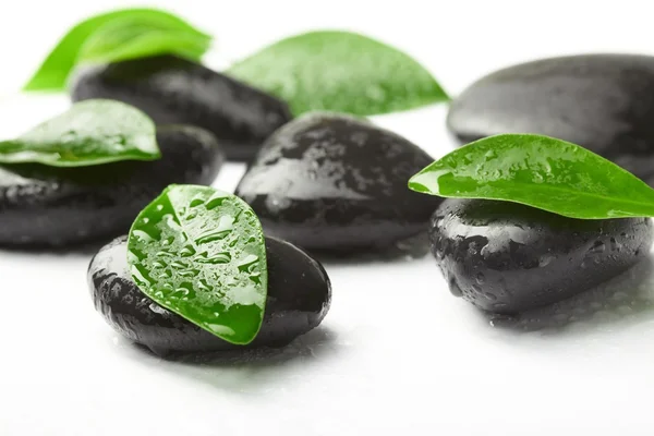 stock image Black stones and green leaves