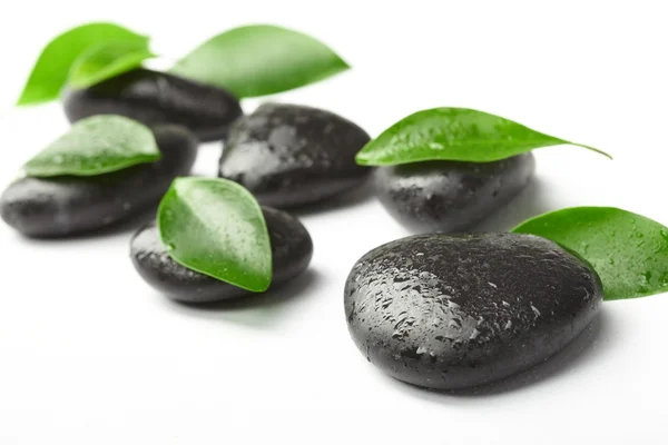 Zwarte stenen en groene bladeren — Stockfoto