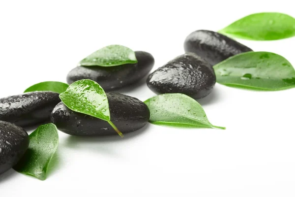 Black stones and green leaves — Stock Photo, Image