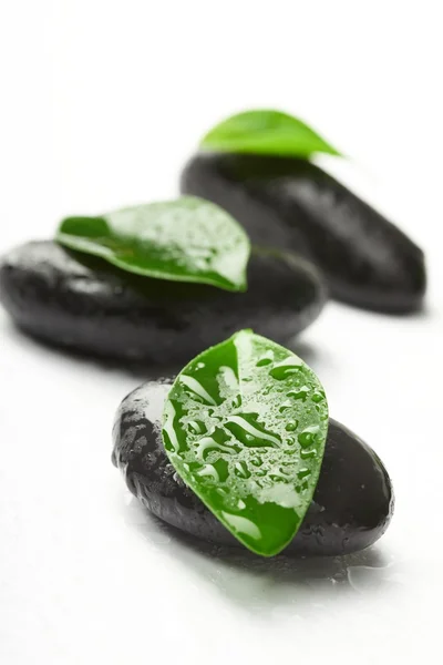 Černé kameny a zelenými listy — Stock fotografie