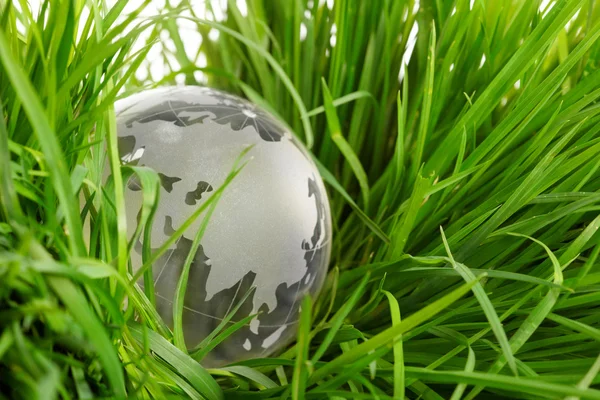 Globe on grass — Stock Photo, Image