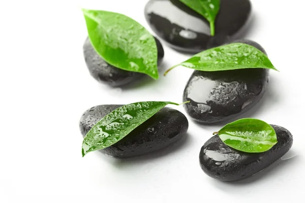 stock image Black stones and green leaves