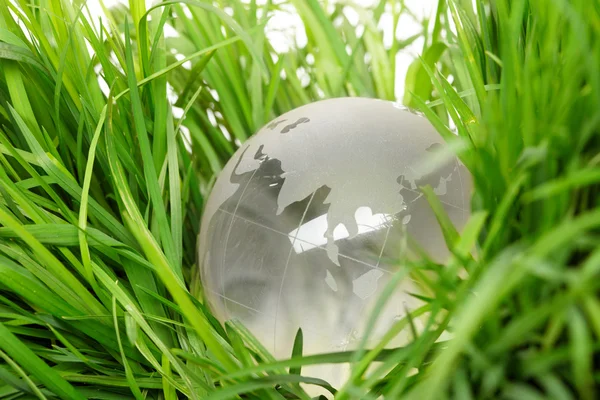 Глобус на траві — стокове фото