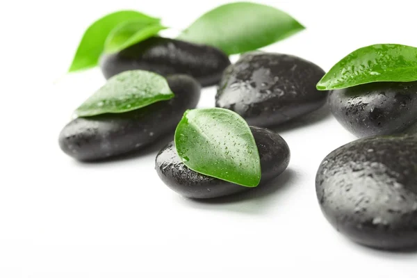 黑石头和绿色的树叶 — 图库照片