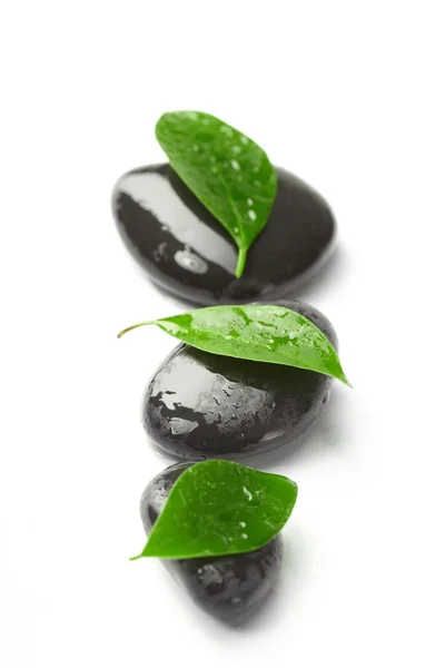 stock image Black stones and green leaves