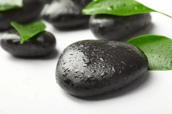 stock image Black stones and green leaves