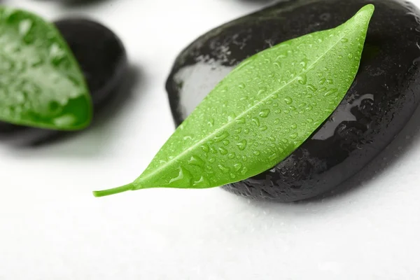 黒い石および緑の葉 — ストック写真