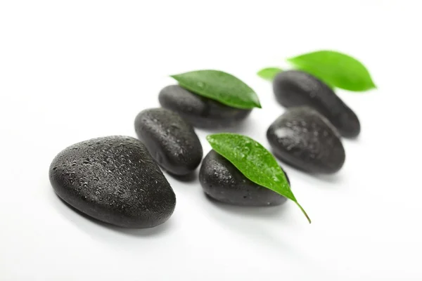 Μαύρες πέτρες και πράσινα φύλλα — Φωτογραφία Αρχείου