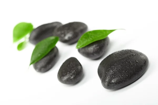 Black stones and green leaves — Stock Photo, Image