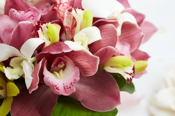 Орхідеї букет — стокове фото