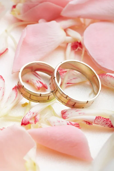 Zlaté prsteny a růží — Stock fotografie
