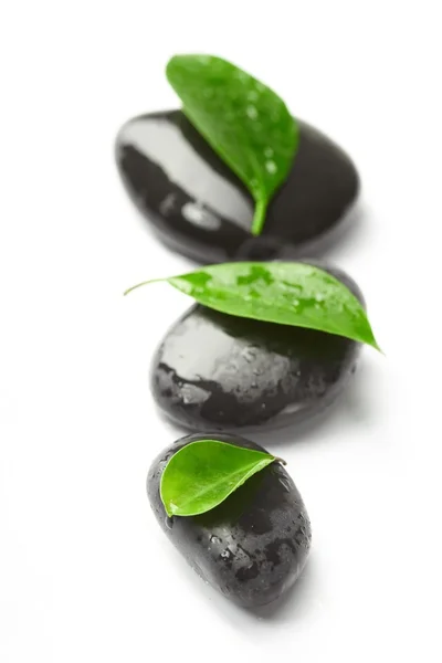 Černé kameny a zelenými listy — Stock fotografie