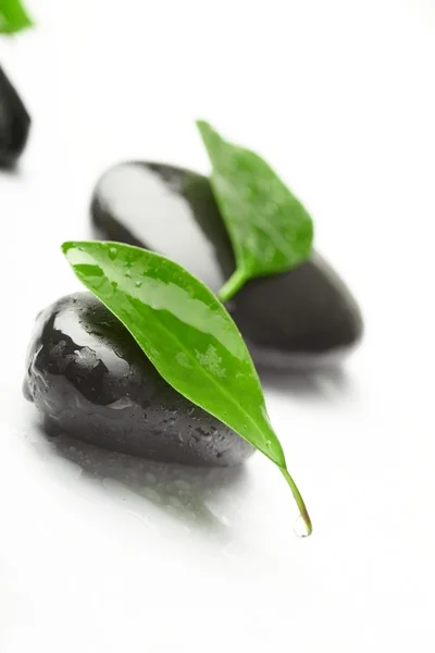 검은 돌과 녹색 잎 — 스톡 사진