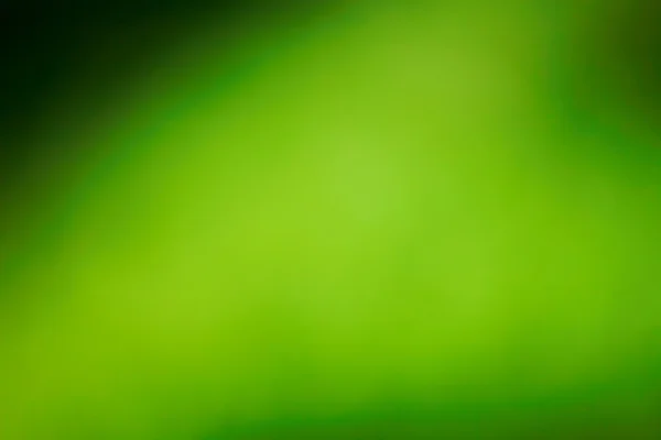 Sfondo verde — Foto Stock