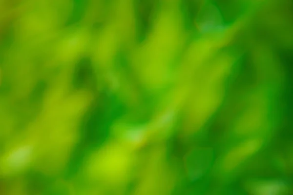 Fundal verde — Fotografie, imagine de stoc