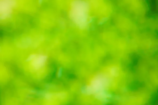 stock image Green background