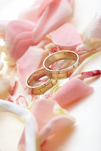 Gouden ringen en rozenblaadjes — Stockfoto