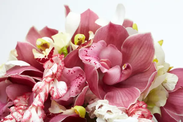 Bouquet d'orchidées — Photo