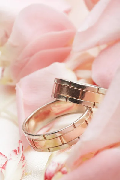 金戒指和玫瑰花瓣 — 图库照片