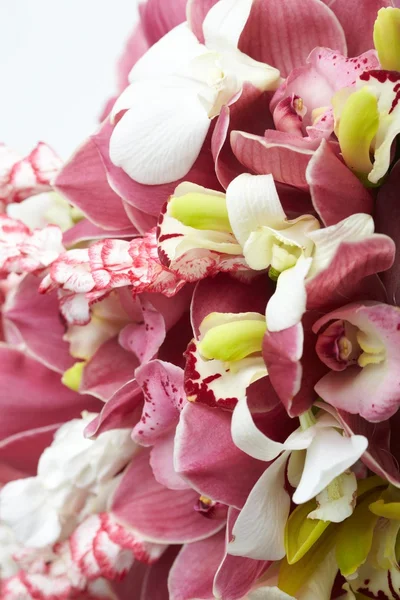 Orchid bouquet — Stock Photo, Image