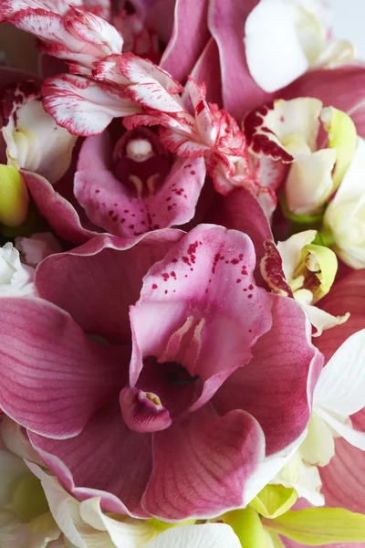 蘭の花束 — ストック写真