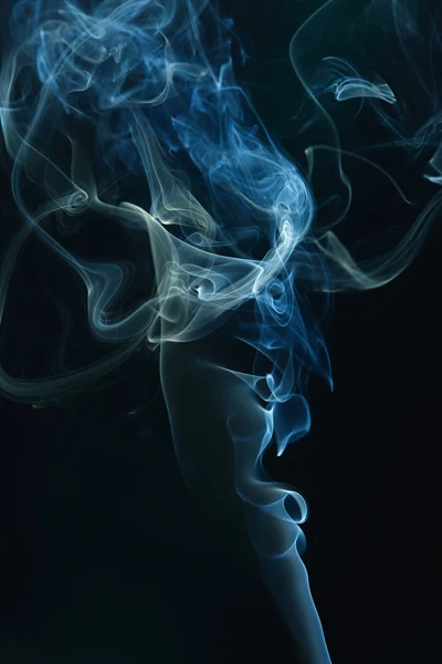 Rook op de zwarte achtergrond — Stockfoto