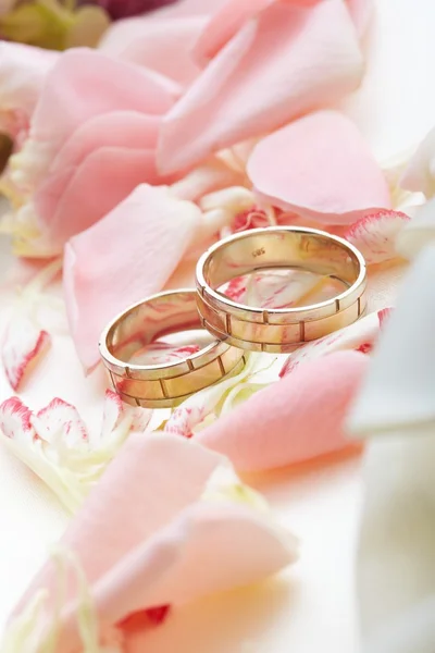 Zlaté prsteny a růží — Stock fotografie